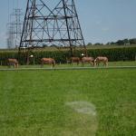 2017OTRA-1_411 (August 24, 2017)